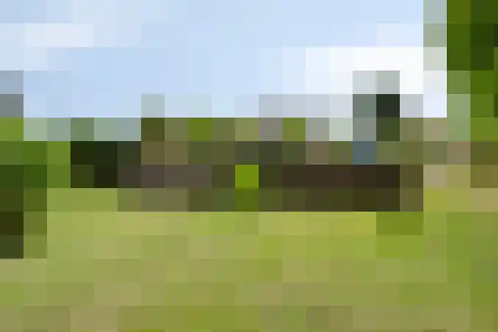 Op de Bies 25 Berg en Terblijt thumbnail 64