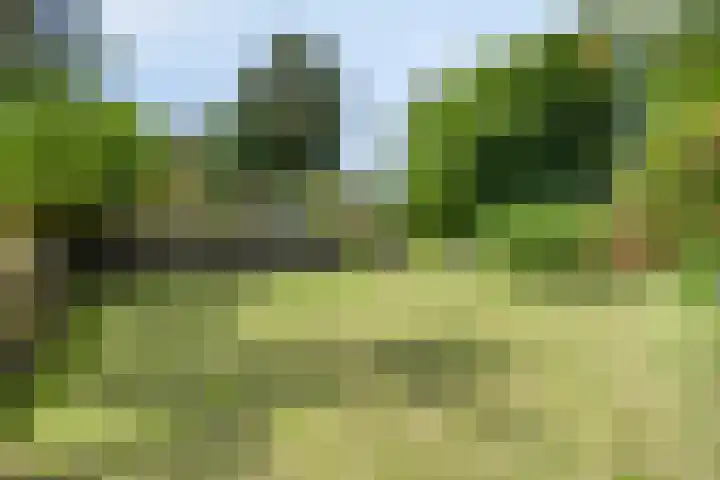 Op de Bies 25 Berg en Terblijt thumbnail 65