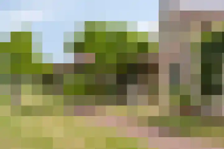 Op de Bies 25 Berg en Terblijt thumbnail 66
