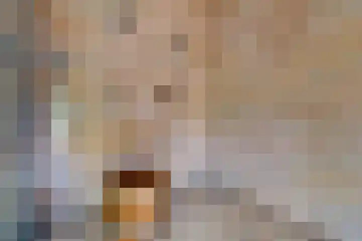 Op de Bies 25 Berg en Terblijt thumbnail 70
