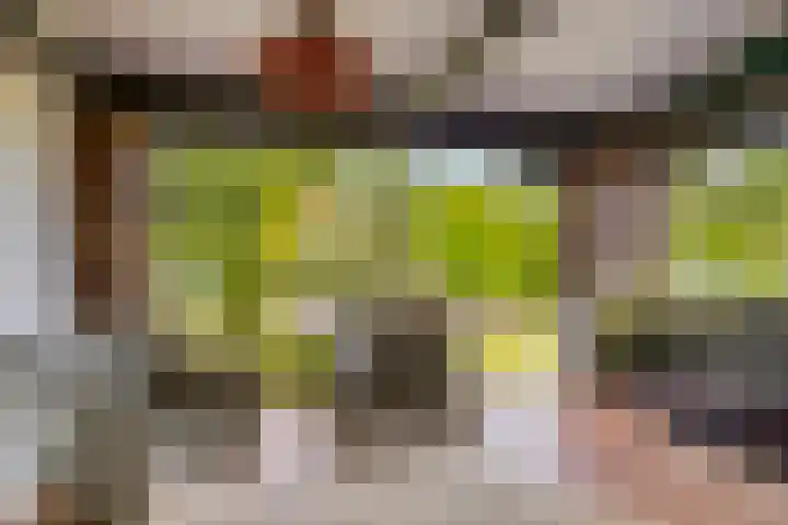 Op de Bies 25 Berg en Terblijt thumbnail 73