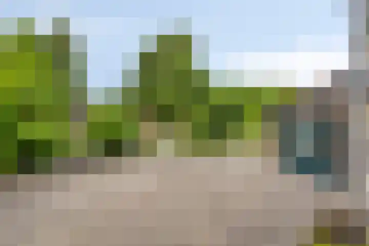 Op de Bies 25 Berg en Terblijt thumbnail 75