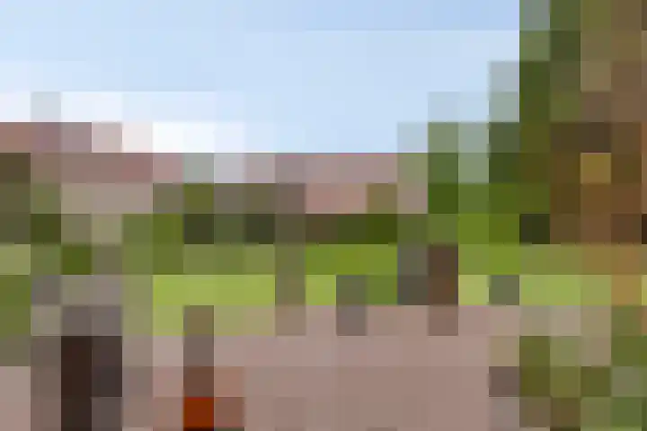 Op de Bies 25 Berg en Terblijt thumbnail 76