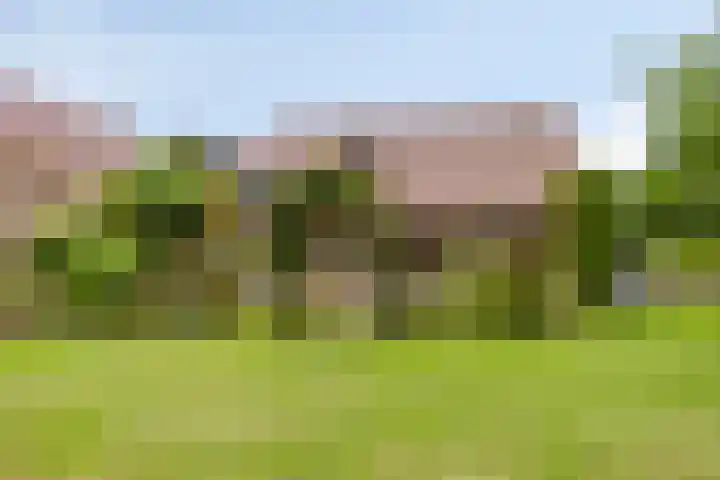 Op de Bies 25 Berg en Terblijt thumbnail 77