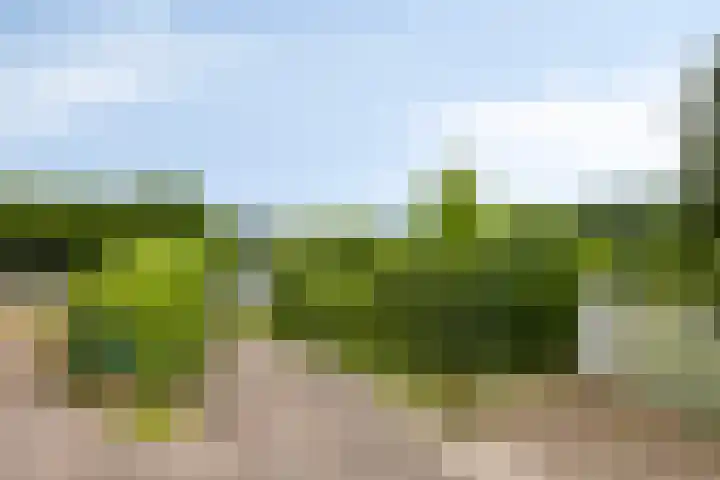 Op de Bies 25 Berg en Terblijt thumbnail 78