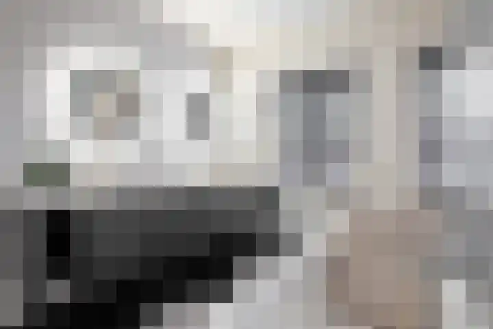 Op de Bies 29 b Schimmert thumbnail 20