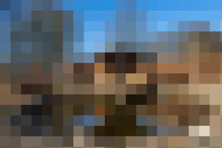 Op de Bies 29 b Schimmert thumbnail 35