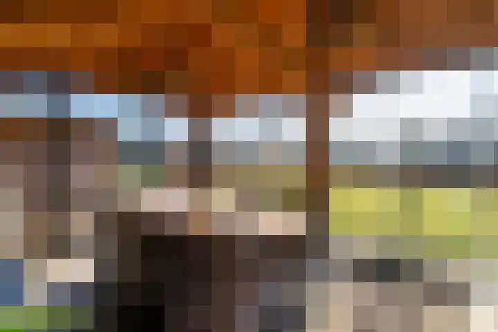 Op de Bies 29 b Schimmert thumbnail 36