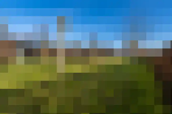 Op de Bies 29 b Schimmert thumbnail 37