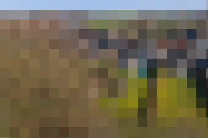 Op de Bies 29 b Schimmert thumbnail 38