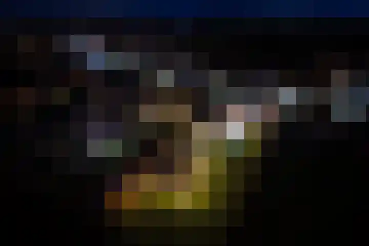 Op de Bies 29 b Schimmert thumbnail 39