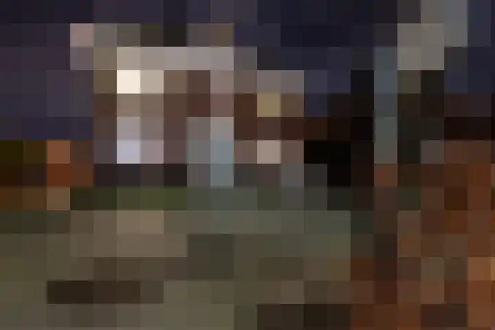 Op de Bies 29 b Schimmert thumbnail 44