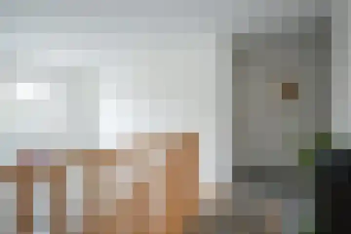 Op de Bies 31 a Schimmert thumbnail 11
