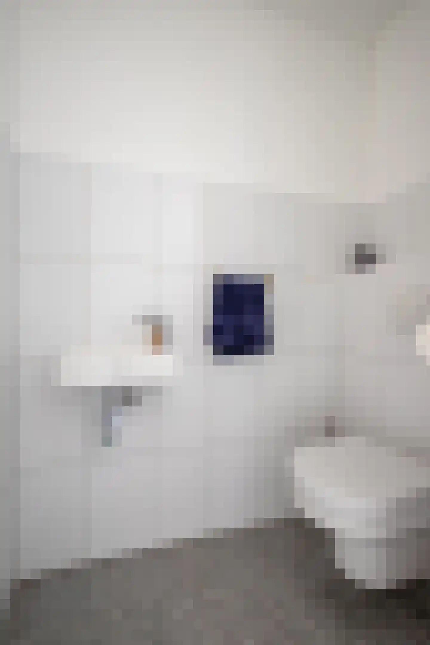 Op de Bies 31 a Schimmert thumbnail 16