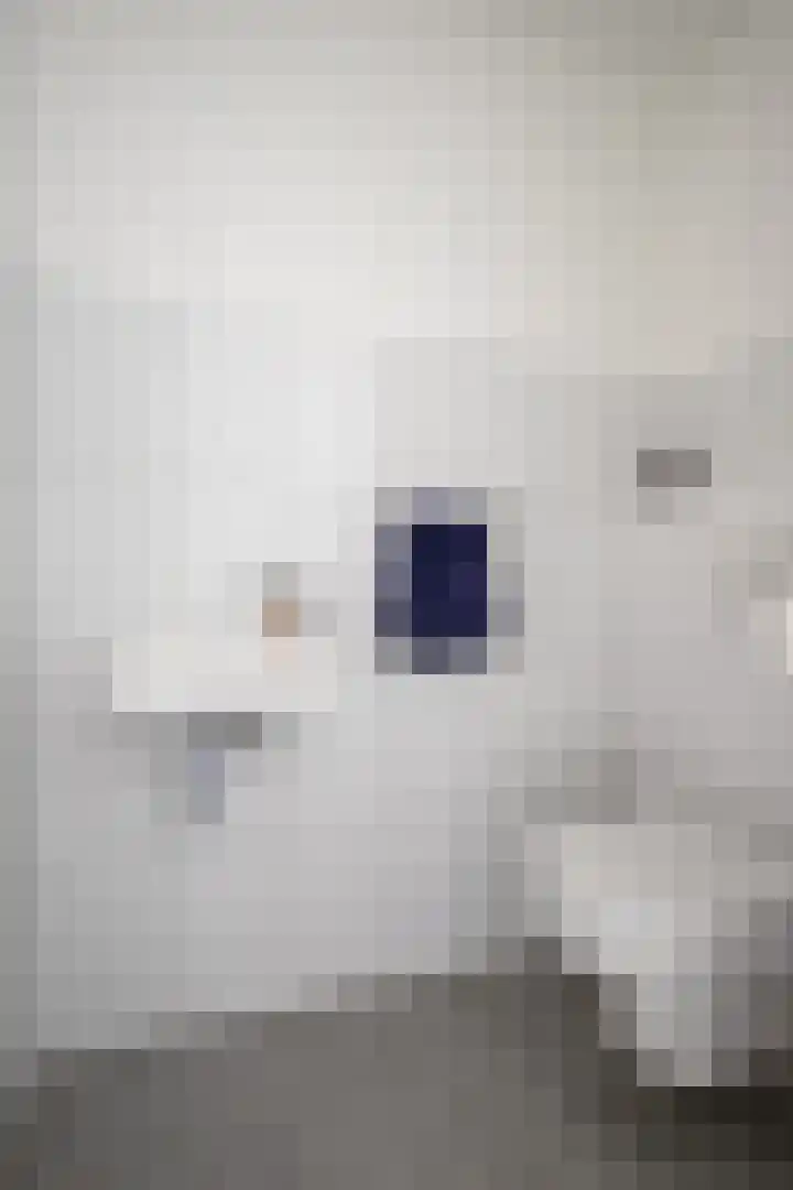 Op de Bies 31 a Schimmert thumbnail 16