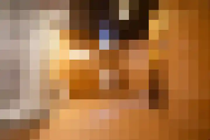 Op de Bies 31 a Schimmert thumbnail 20