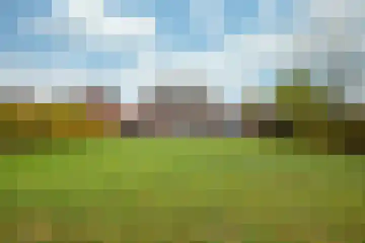 Op de Bies 31 a Schimmert thumbnail 25