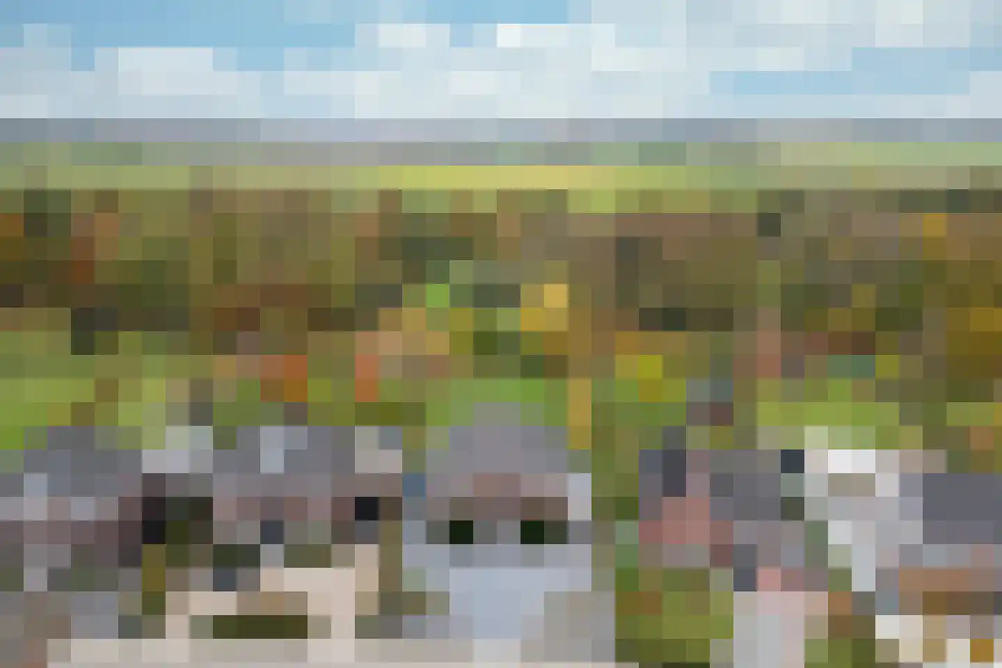 Op de Bies 31 a Schimmert thumbnail 27