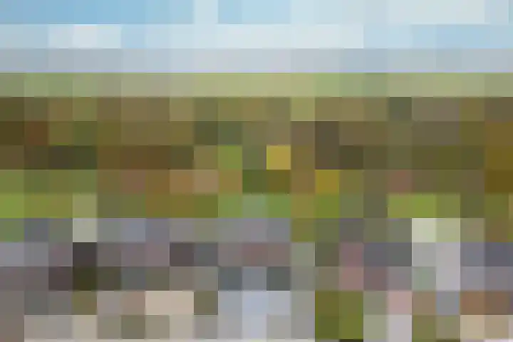 Op de Bies 31 a Schimmert thumbnail 27
