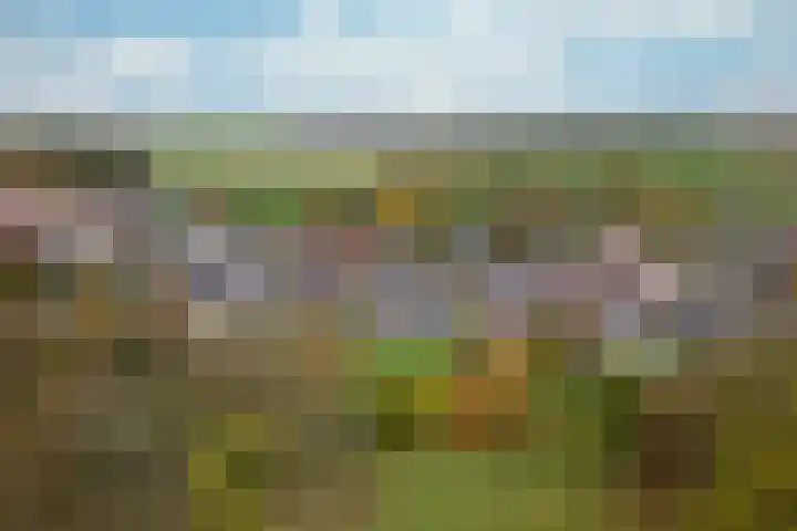 Op de Bies 31 a Schimmert thumbnail 29