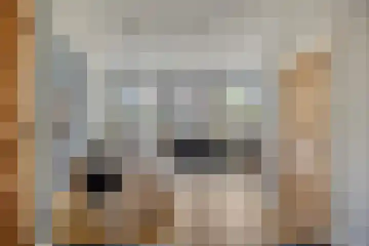 Op de Bies 38 Schimmert thumbnail 12