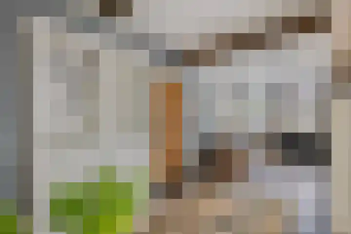 Op de Bies 38 Schimmert thumbnail 15
