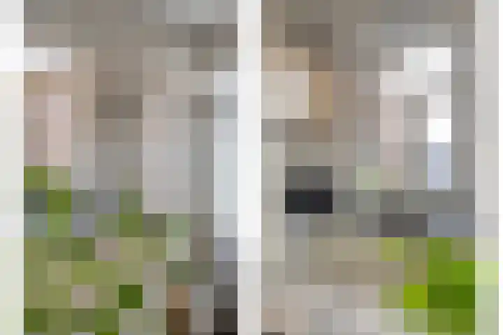 Op de Bies 38 Schimmert thumbnail 18