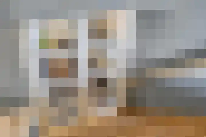 Op de Bies 38 Schimmert thumbnail 20