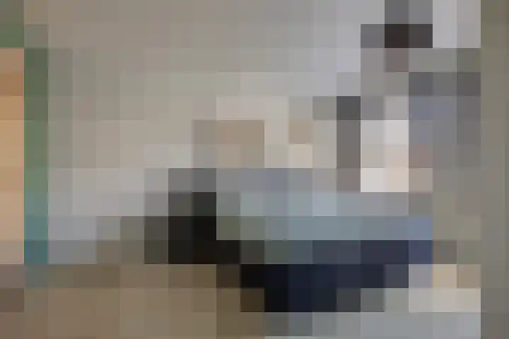 Op de Bies 38 Schimmert thumbnail 31