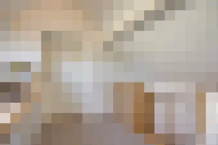 Op de Bies 38 Schimmert thumbnail 43