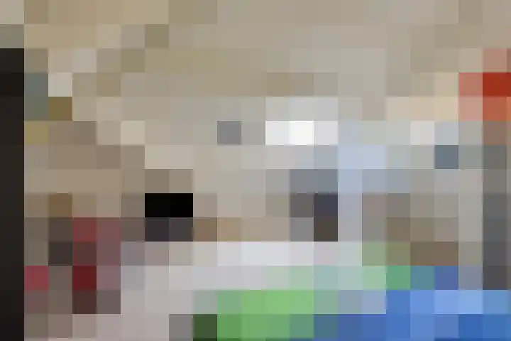 Op de Bies 38 Schimmert thumbnail 45