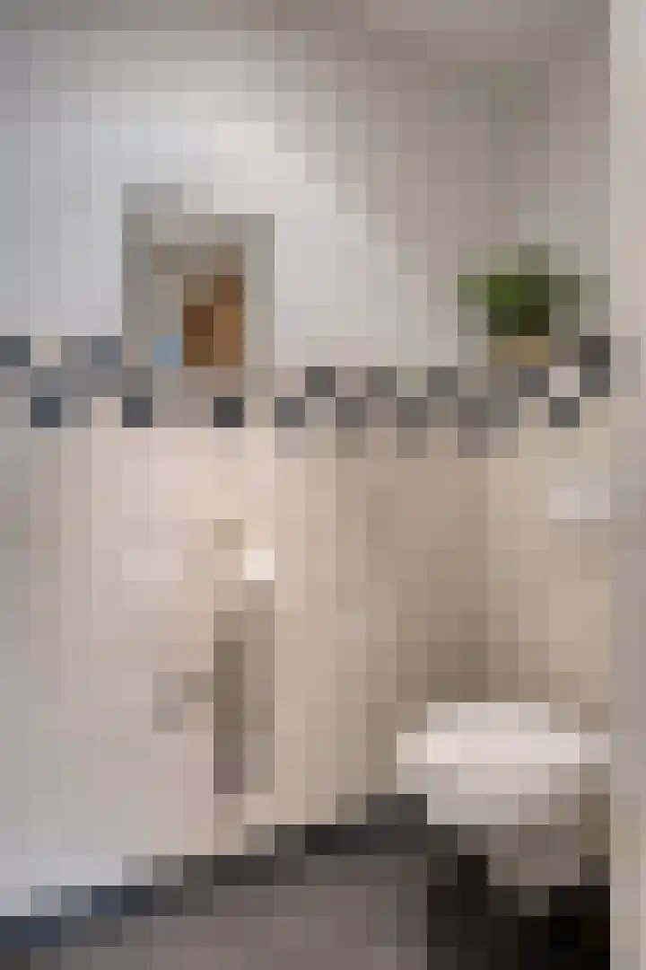Op de Bies 38 Schimmert thumbnail 46