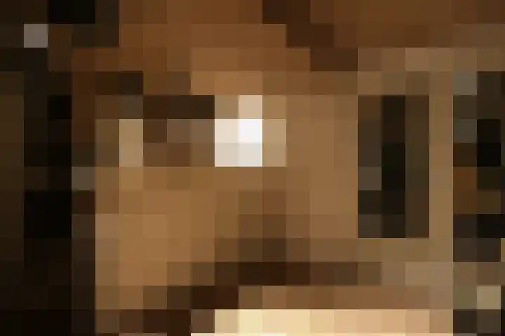 Op de Bies 38 Schimmert thumbnail 47