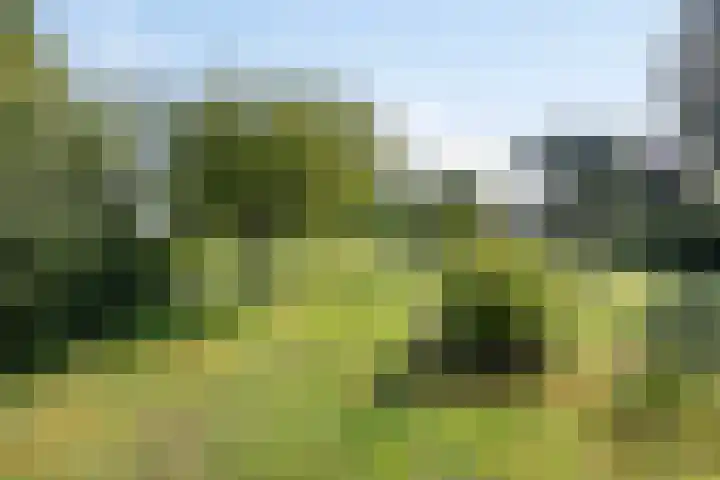 Op de Bies 38 Schimmert thumbnail 5