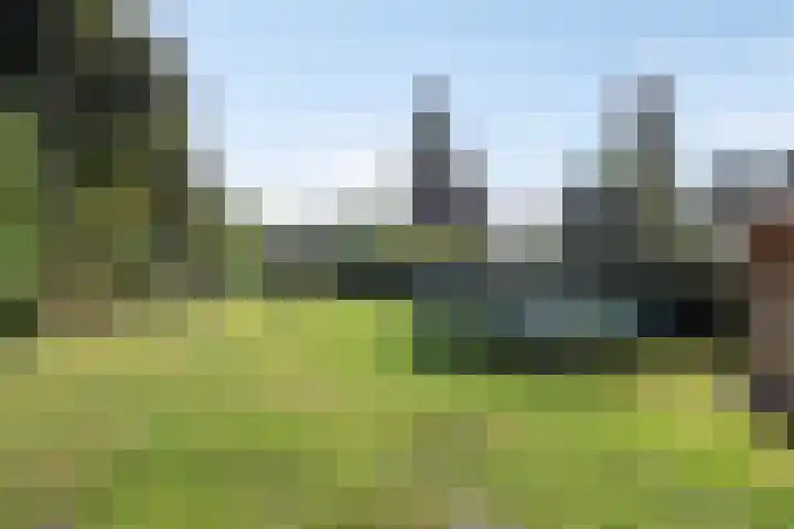 Op de Bies 38 Schimmert thumbnail 53