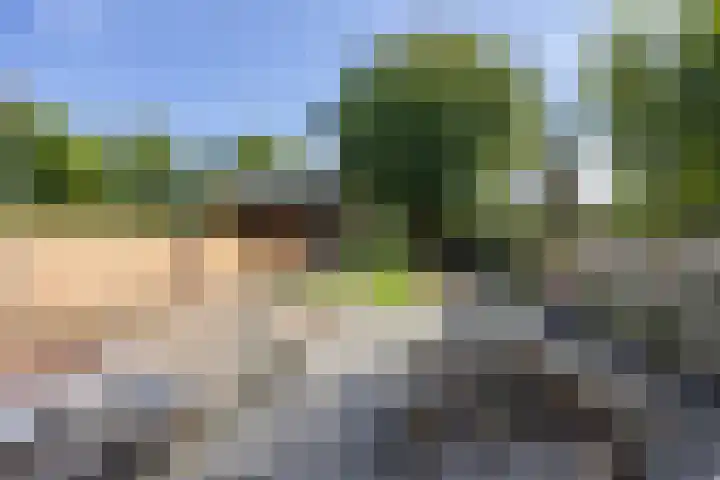 Op de Bies 38 Schimmert thumbnail 55