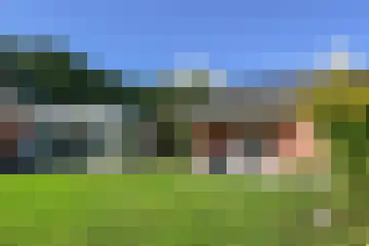 Op de Bos 7 a Roggel thumbnail 28