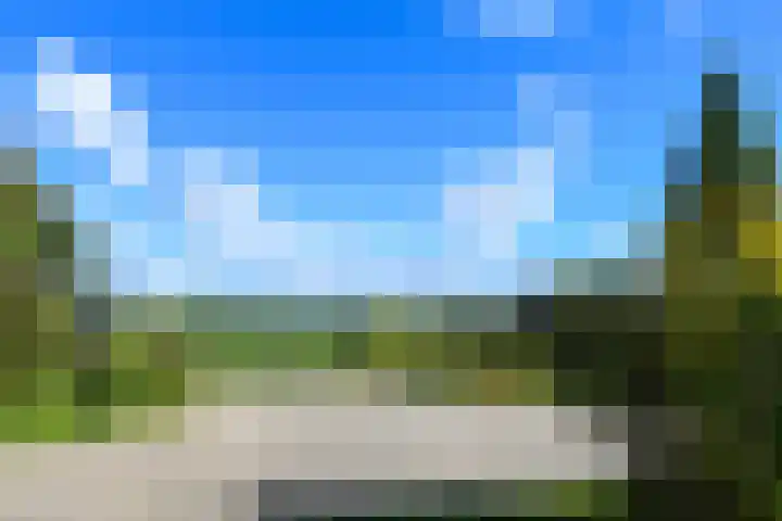 Op de Bos 7 a Roggel thumbnail 46