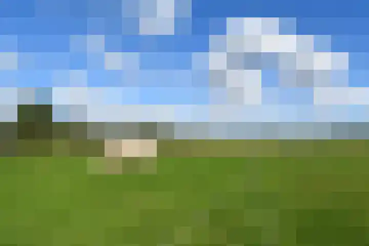 Op de Bos 7 a Roggel thumbnail 50