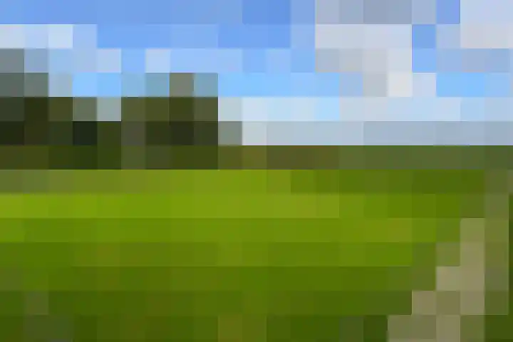 Op de Bos 7 a Roggel thumbnail 52