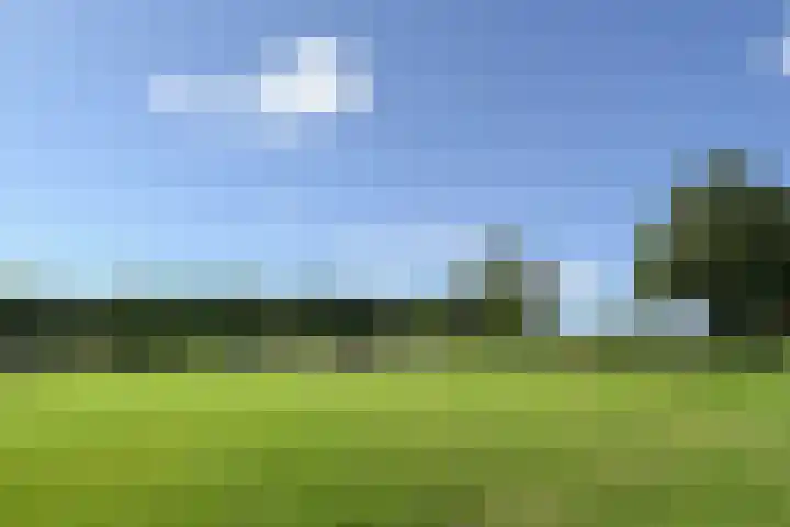 Op de Bos 7 a Roggel thumbnail 53