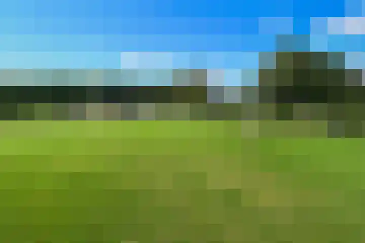 Op de Bos 7 a Roggel thumbnail 55