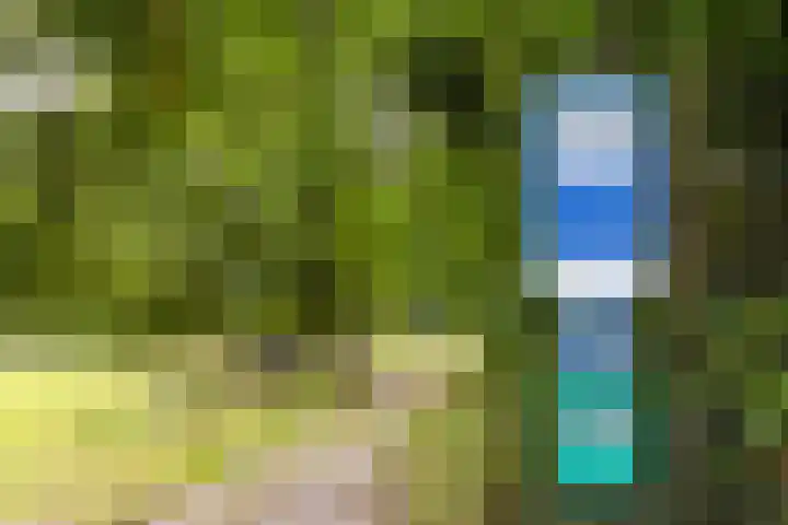 Op de Bos 7 a Roggel thumbnail 58