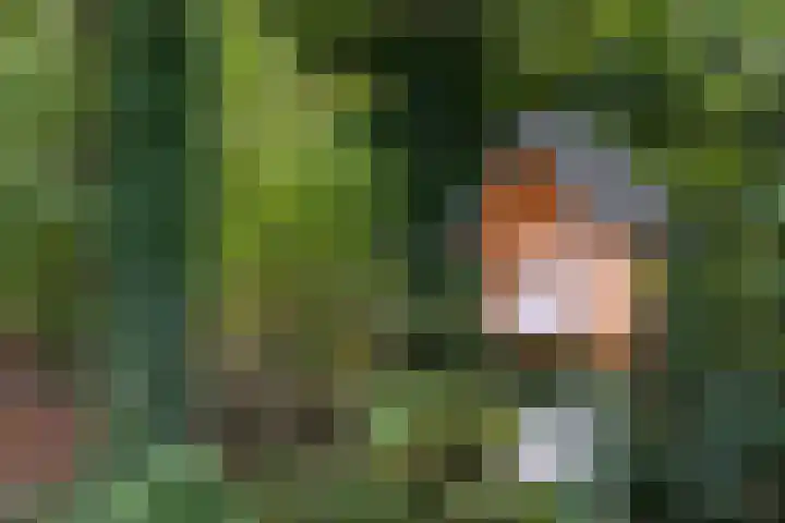 Op de Bos 7 a Roggel thumbnail 59
