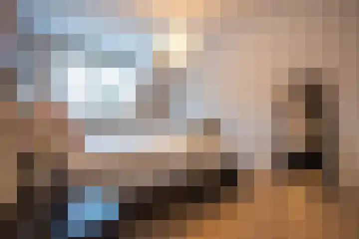 op de Bree 18 Beegden thumbnail 20