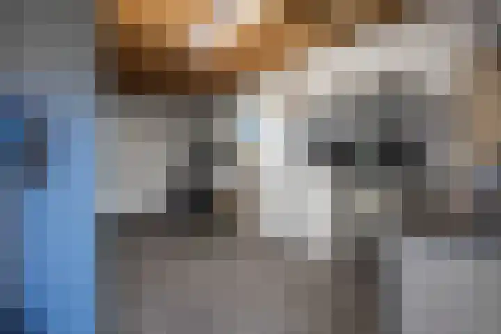 op de Bree 18 Beegden thumbnail 31