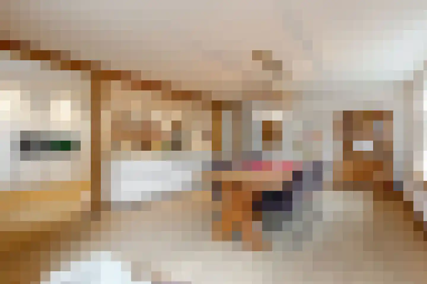 Op de Coul 34 Papenhoven thumbnail 12