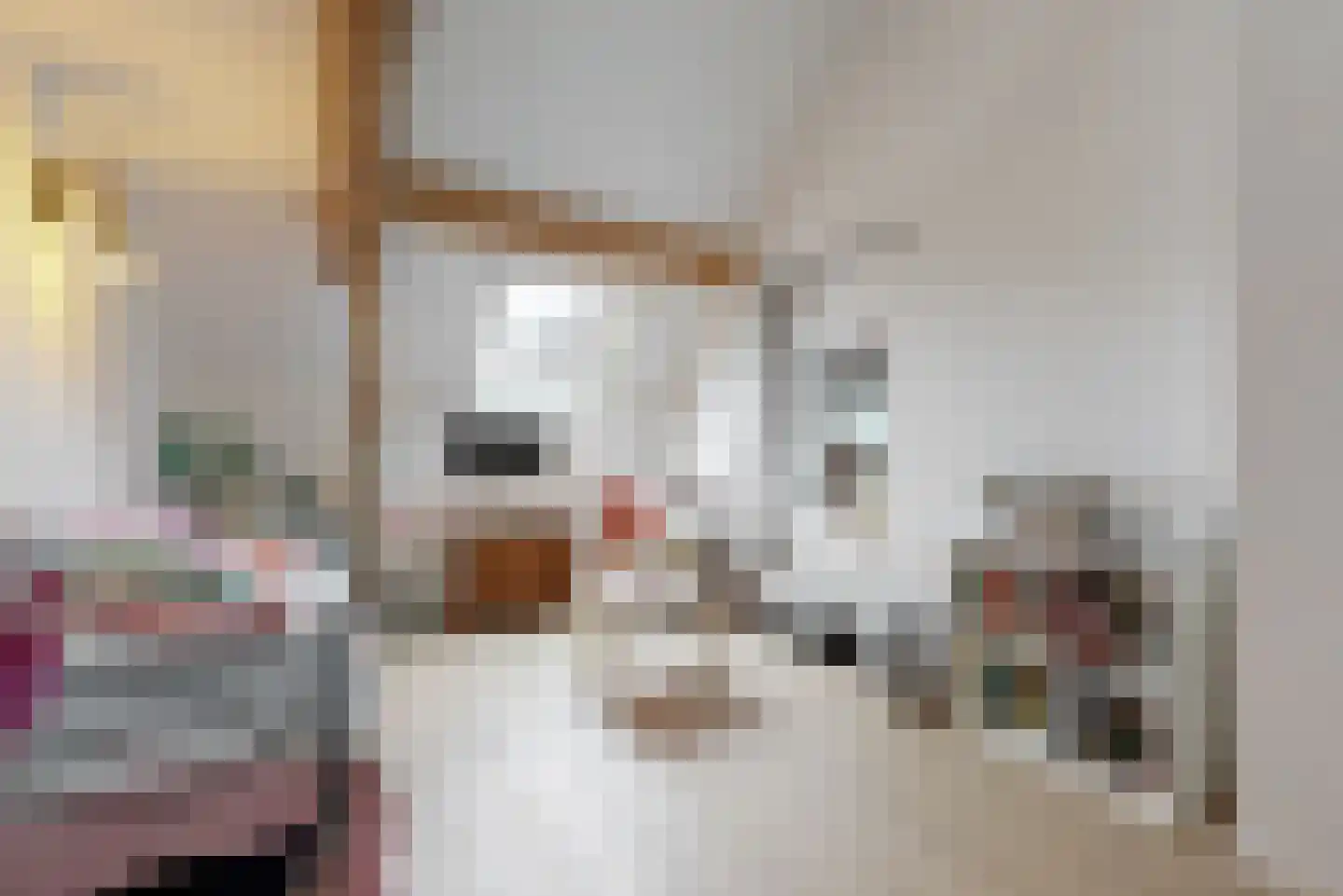 Op de Coul 34 Papenhoven thumbnail 19