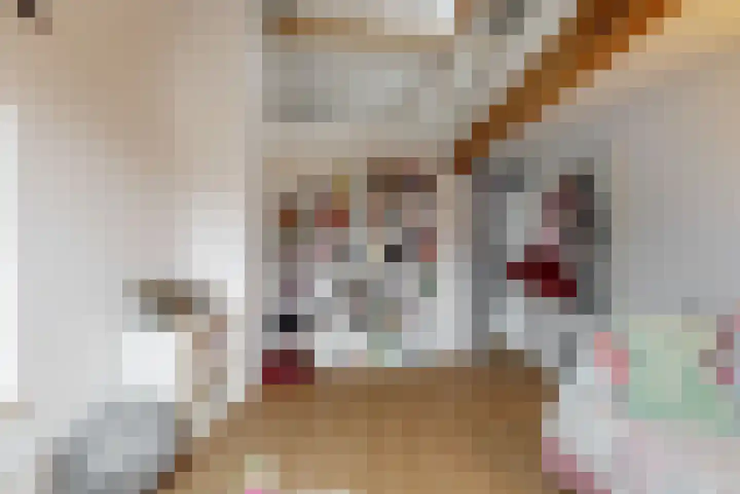 Op de Coul 34 Papenhoven thumbnail 21