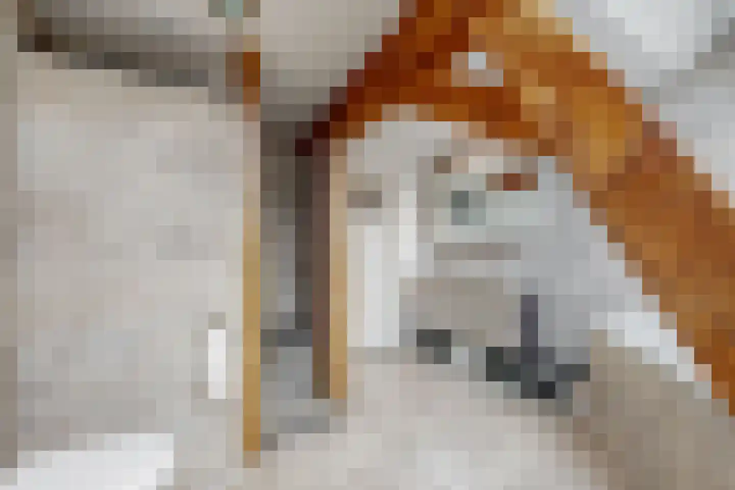 Op de Coul 34 Papenhoven thumbnail 23